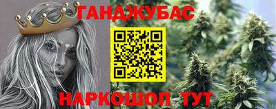 дмт Будённовск
