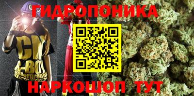дмт Будённовск