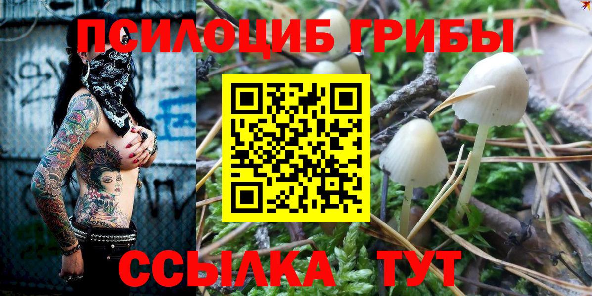 Псилоцибиновые грибы ЛСД Озёры