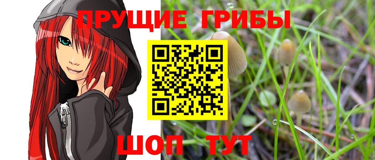 Псилоцибиновые грибы Cubensis  Вход с VPN  Галлюциногенные грибы Magic Shrooms  Озёры 